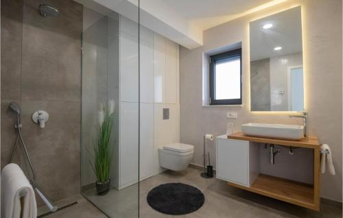 ein Badezimmer mit einem WC, einem Waschbecken und einem Spiegel in der Unterkunft Beautiful Home In Ivanbegovina With Kitchen in Ivanbegovina