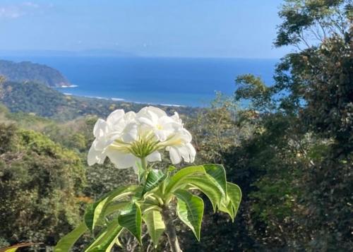 Little Paradise – Photos 2