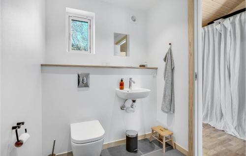 Łazienka z białą toaletą i umywalką w obiekcie Pet Friendly Home In Sejer With Wifi w mieście Sejerby