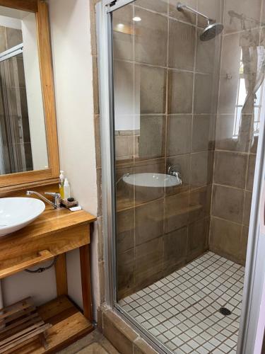 a bathroom with a shower and a sink at Euforia Guesthouse in Middelburg