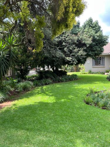a yard with green grass and a large tree at Euforia Guesthouse in Middelburg