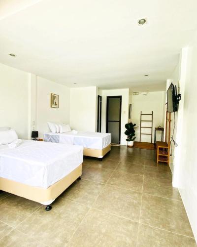 a bedroom with two beds and a television in it at Canna Boutique Hostel in Panglao Island