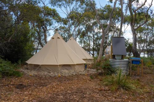 ein großes Zelt auf einem Feld neben Bäumen in der Unterkunft Numie - Freycinet Peninsula - Glamping in Coles Bay
