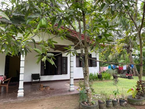 Taman di luar Mahiru Homestay