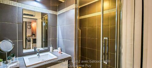 een badkamer met een wastafel en een douche bij Les Arcades - WIFI - Intra muros of Avignon - Balcony - 45m2 in Avignon