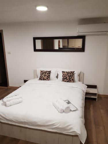 1 dormitorio con cama blanca y espejo en la pared en Casa Gina, en Arad