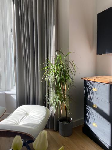 a living room with two plants in front of a window at Contemporary Residence by Salt Life in Brighton & Hove