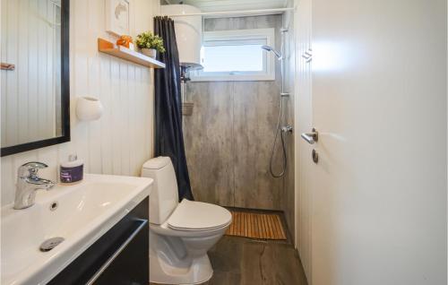 クリムトラにあるStunning Home In Thisted With 3 Bedrooms And Wifiのバスルーム(トイレ、洗面台、シャワー付)