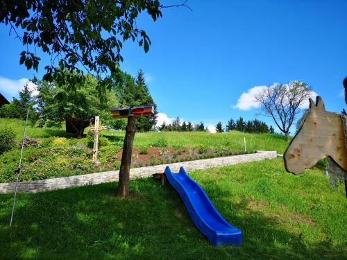 a playground with a blue slide in the grass at Kleinhofers Himbeernest in Anger