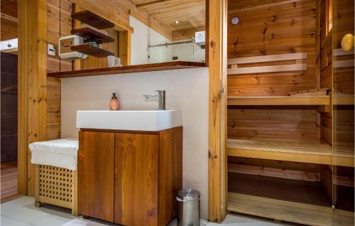 ein Badezimmer mit einem Waschbecken in einer Sauna in der Unterkunft Cozy Home In Preserje With Sauna in Preserje