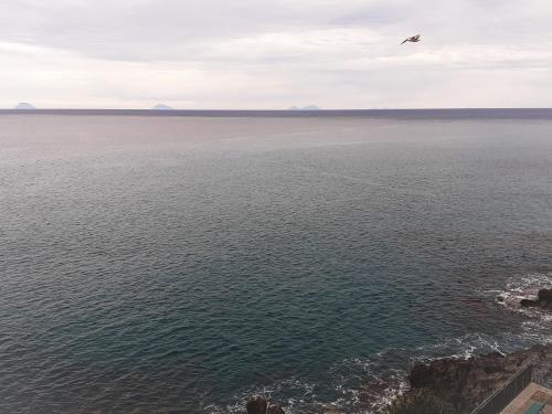 a bird flying over a body of water at Calypso in Cefalù