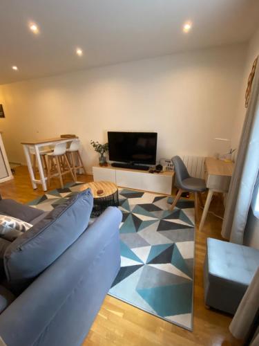 sala de estar con sofá y TV en Cozy 2 pièces AUX PORTES DE PARIS ! en Issy-les-Moulineaux