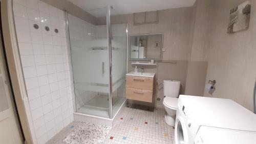 une salle de bain avec une douche, des toilettes et un lavabo dans l'établissement Apartment Corneille, à Colmar