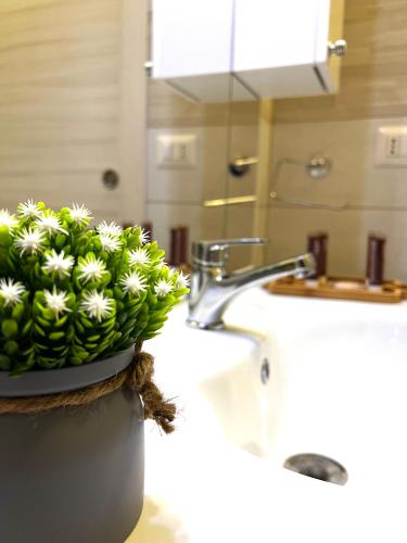 a potted plant sitting on a sink in a bathroom at Gegix's House Rho in Rho