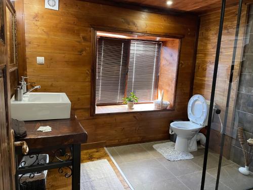a bathroom with a toilet and a sink and a window at Къща за гости Виевци in Vievo