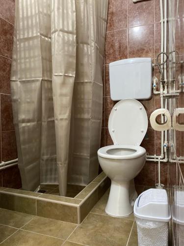 a bathroom with a toilet and a shower at Apartman studio Milojkovic in Golubac