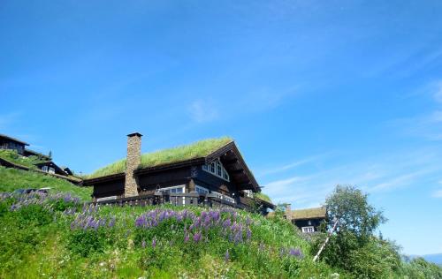 NoresundにあるNorefjell - Storhytte med Jacuzzi og fantastisk beliggenhetの紫の花の丘の上に草屋根の家