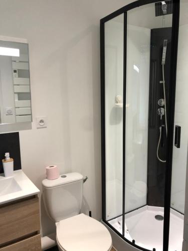 a bathroom with a toilet and a shower at Charmant studio neuf tout équipé terrasse vue imprenable, parking facile gratuit in Lézigneux