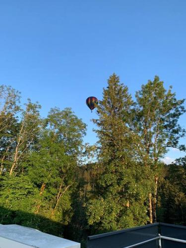 a kite is flying in the air over trees at Sonnige Loft mit Terrasse, Ladestation für Elektrofahrzeuge in Schindellegi