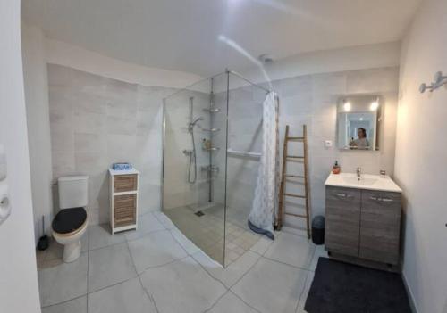 een badkamer met een douche, een toilet en een wastafel bij Maison neuve dans Saintes avec terrasse et jardin in Saintes