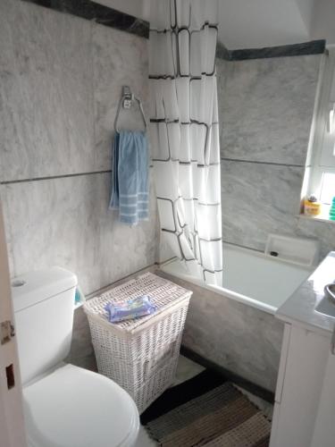a bathroom with a toilet and a bath tub at SUNNY APARTMENT NORTHERN ATHENS in Athens