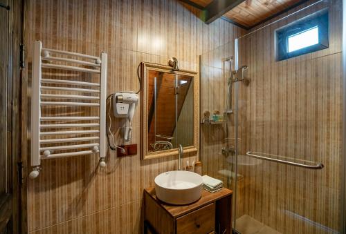 uma casa de banho com um lavatório e um chuveiro em Voyager em Stepantsminda