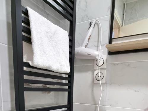 ein Bad mit einem Handtuch, das auf einem Handtuchhalter hängt in der Unterkunft Golden Mont Centre Appartement in Pau