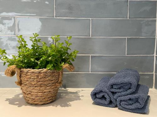 a bathroom with a plant and two towels on a counter at 't Achterom in Bruinisse