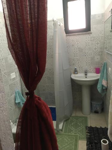 y baño con cortina de ducha y lavamanos. en GIARDINI VERDI Intero appartamento, en Muravera