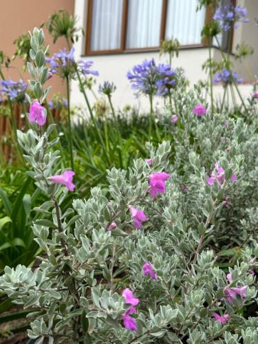 a garden with purple flowers in front of a building at Lavandas de Cunha Pousada Boutique in Cunha
