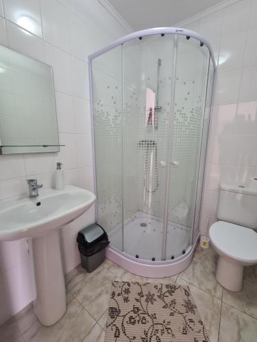 a bathroom with a shower and a sink and a toilet at CAZARE TURISM PRISLOP in Haţeg