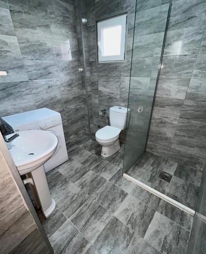 a bathroom with a toilet and a sink and a shower at Old Town Bar Apartments in Stari Bar