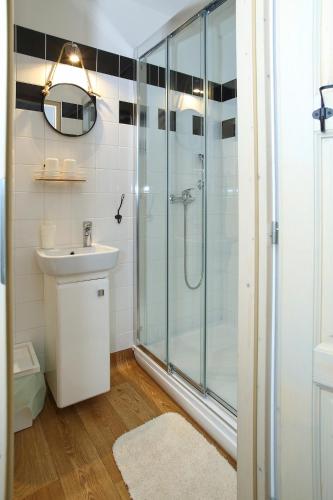 a bathroom with a shower and a sink at Penzion Štěrbova vila in Bílá Třemešná