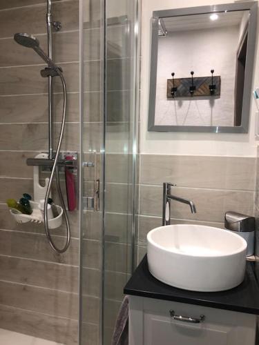 a bathroom with a shower and a sink and a shower at L'Omérade: Appartement de charme dans une maison audomaroise in Saint-Omer