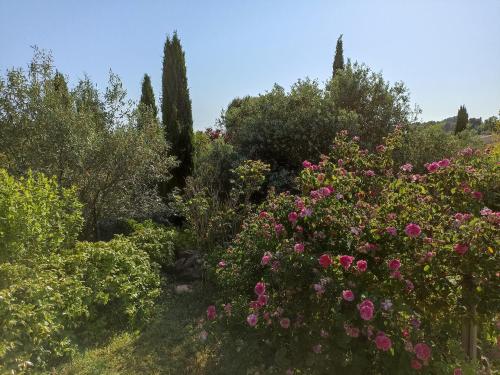 Photo de la galerie de l'établissement Villa avec piscine aux pieds des collines de Marcel Pagnol, à Allauch