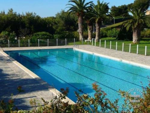 une piscine bleue avec des palmiers en arrière-plan dans l'établissement Studio rénové avec vue magique, à Cassis