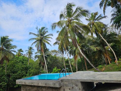a swimming pool with palm trees in the background at THE HIDEOUT KURUNEGALA in Kurunegala