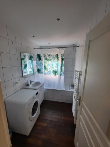 a bathroom with a washing machine and a sink at duplex avec jacuzzi extérieur, deux chambres 74m2 in Le Russey