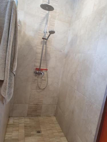 La salle de bains est pourvue d'une douche avec un pommeau de douche. dans l'établissement Harbour View House, à Port Elizabeth