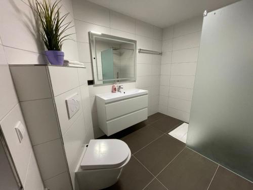 uma casa de banho com um WC, um lavatório e um espelho. em Auf der Alm 21 N.5 em Baden-Baden