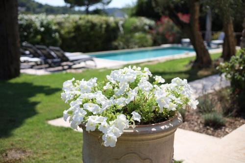 einen Eimer voller weißer Blumen neben einem Pool in der Unterkunft L'élégante Bastide en pierre avec vue sur le vieux village de Mougins in Mougins