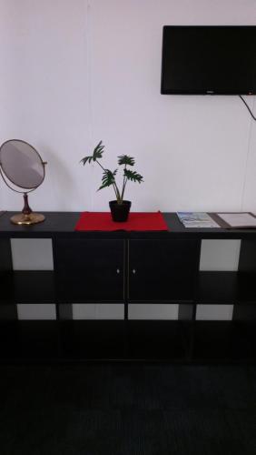 a desk with a plant sitting on top of it at Apartmány Karlštejn in Karlštejn