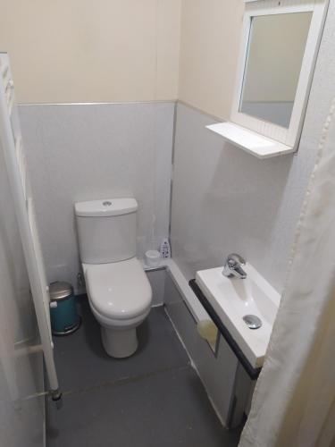 a small bathroom with a toilet and a sink at HAVEN STUDIO GROUND FLOOR in Whitehaven