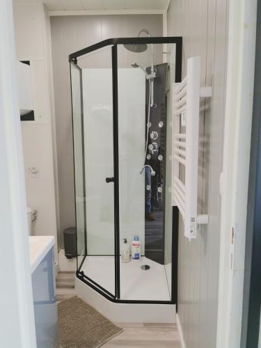 une douche avec une cabine en verre dans une salle de bain dans l'établissement VITTEL LOC'S - LE 214, classé 3 étoiles OSEZ L'EXPERIENCE, à Vittel