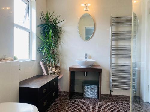 een badkamer met een wastafel en een spiegel bij Loughview in Bangor