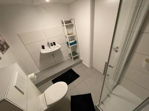 y baño con aseo, lavabo y ducha. en 1 oder 2 Monteurzimmer nahe Flughafen, en Rüsselsheim