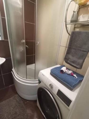 een badkamer met een douche en een wasmachine bij Cozy two-room apartment in Liepāja