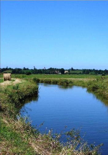 a river in the middle of a field at LEBAS-LADIN - Bayeux Ville Touristique in Lison