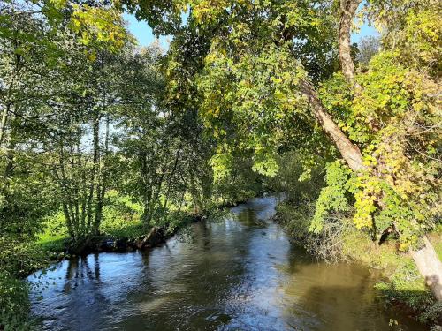 a river with trees on the side of it at LEBAS-LADIN - Bayeux Ville Touristique in Lison