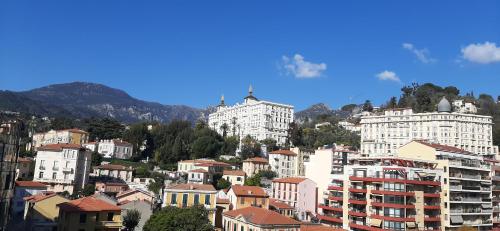 LE PETIT CITRON